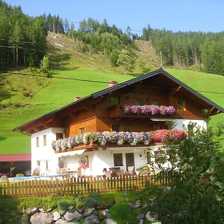 Apartament Untersteinhof Forstau  Zewnętrze zdjęcie