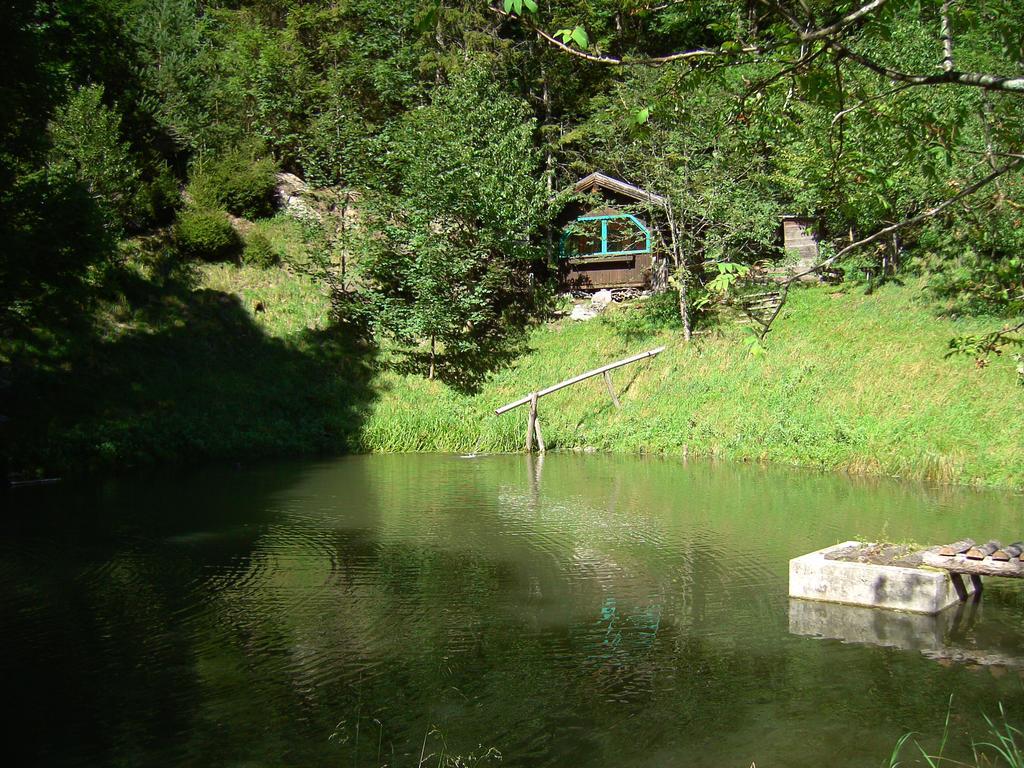 Apartament Untersteinhof Forstau  Zewnętrze zdjęcie